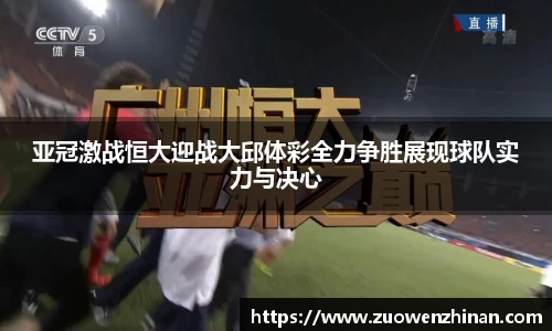 熊猫体育